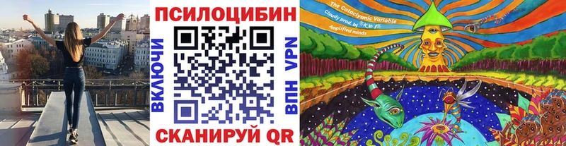 хочу   Чишмы  Галлюциногенные грибы Psilocybine cubensis 